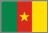 Cameroon flag