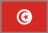 Tunisian flag