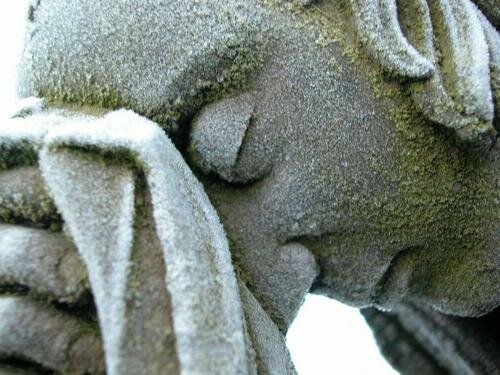 Bowed head of a weeping angel